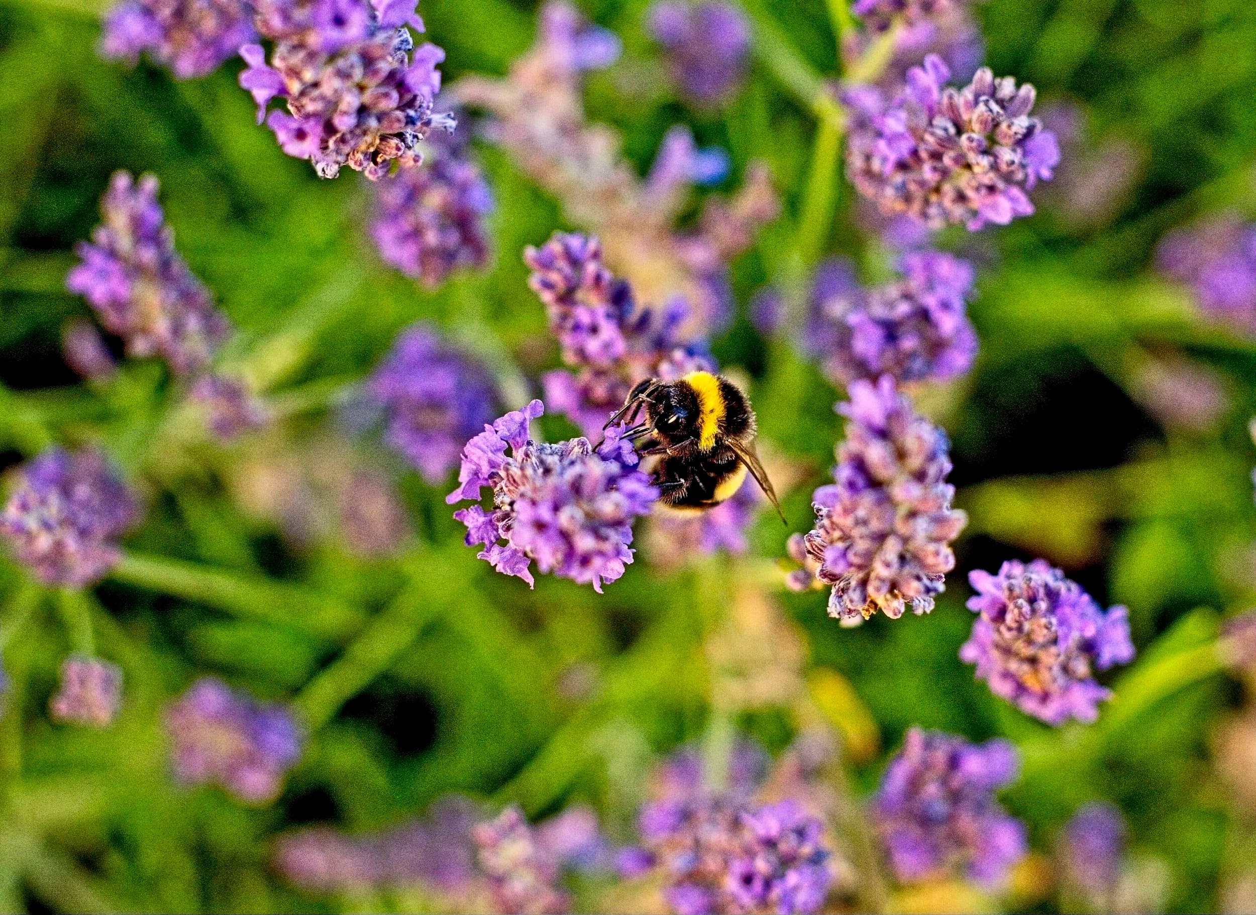 Photography 2